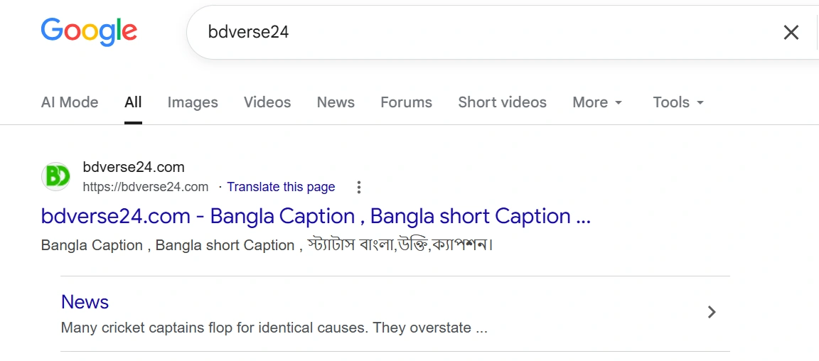 Google search results for 'bdverse24' showing bdverse24.com ranking first with correct branding
